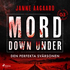 Den perfekta svärsonen