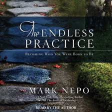 Cover image for The Endless Practice