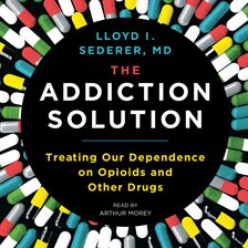 Cover image for The Addiction Solution