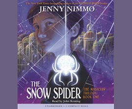 Cover image for The Snow Spider