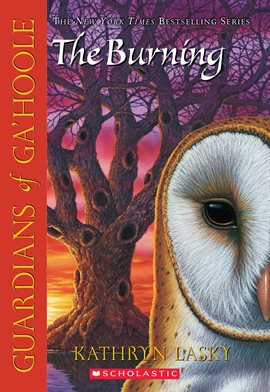Cover image for The Burning