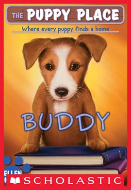 Cover image for Buddy