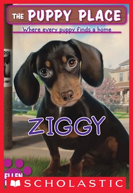 Cover image for Ziggy (The Puppy Place #21)