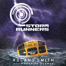 Cover image for Storm Runners
