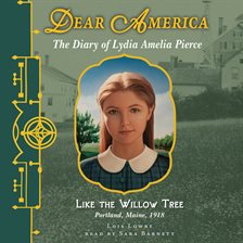 Cover image for Like the Willow Tree