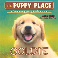 Cover image for Goldie