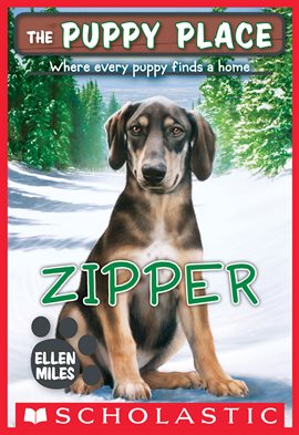 Cover image for Zipper