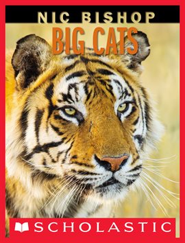 Imagen de portada para Nic Bishop Big Cats
