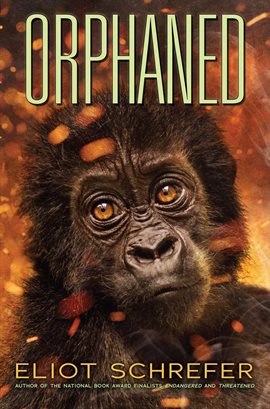 Cover image for Orphaned