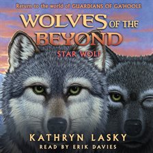 Cover image for Star Wolf