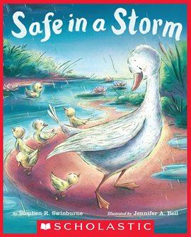 Cover image for Safe in a Storm