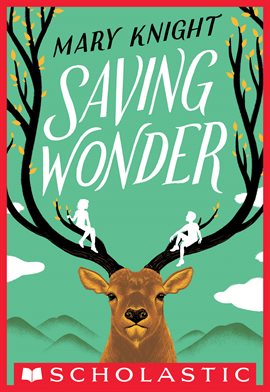 Cover image for Saving Wonder