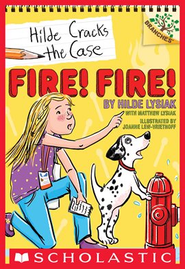 Cover image for Fire! Fire!: A Branches Book