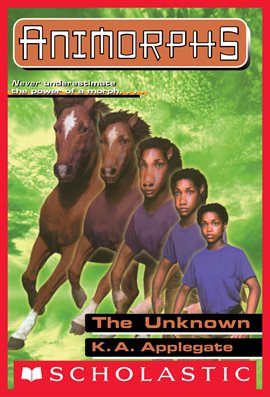Cover image for The Unknown