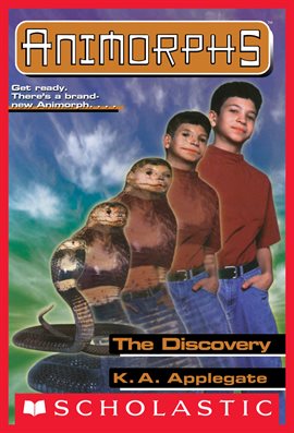 Cover image for The Discovery