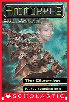 Cover image for The Diversion