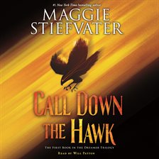 Cover image for Call Down the Hawk
