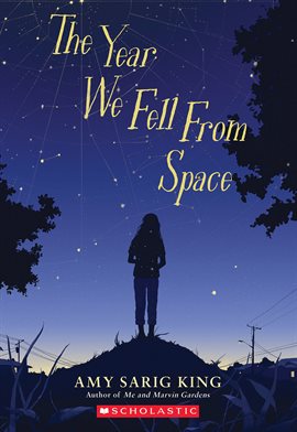 Cover image for The Year We Fell From Space