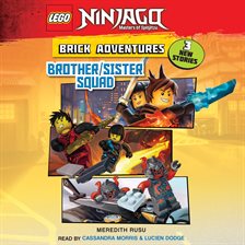 Imagen de portada para Brother/Sister Squad