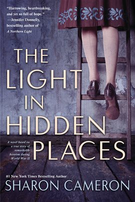 Cover image for The Light in Hidden Places