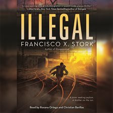 Cover image for Illegal