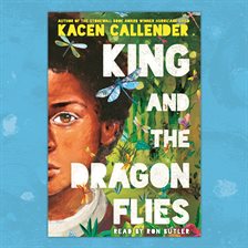 Cover image for King and the Dragonflies