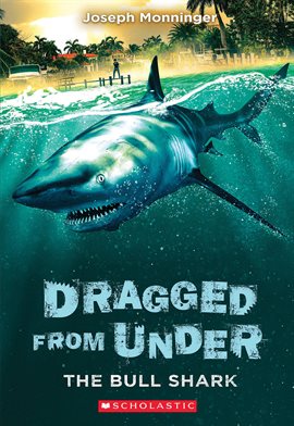 Cover image for The Bull Shark