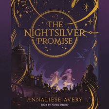 Cover image for The Nightsilver Promise