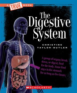 Cover image for The Digestive System (A True Book: Health and the Human Body)