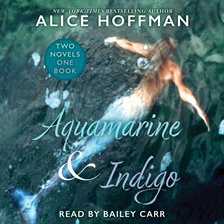 Cover image for Aquamarine & Indigo (Two Novels, One Book)