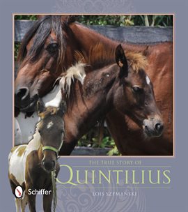 Cover image for The True Story of Quintilius