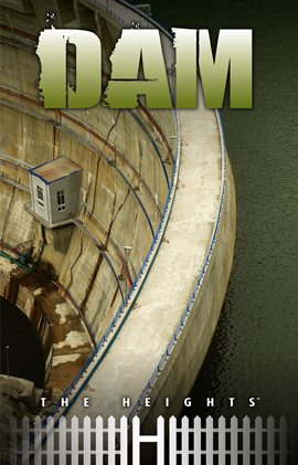 Cover image for Dam