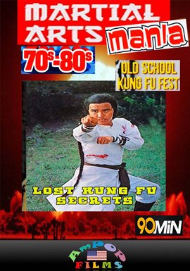 The Lost Kung Fu Secrets