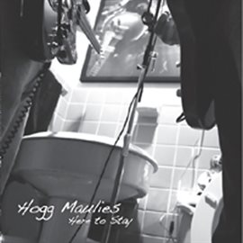 Cover image for Here To Stay