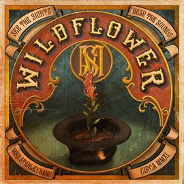 Cover image for Wildflower