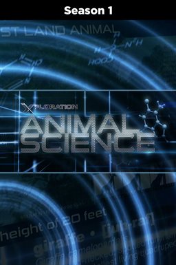Cover image for Amazing Animals II