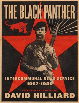 Cover image for The Black Panther