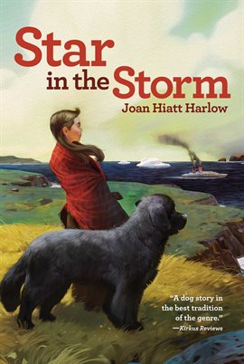 Cover image for Star in the Storm