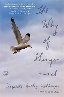 Imagen de portada para The Why of Things