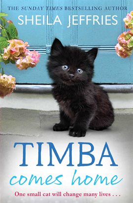 Imagen de portada para Timba Comes Home