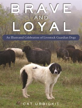 Cover image for Brave and Loyal