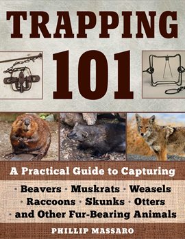 Cover image for Trapping 101