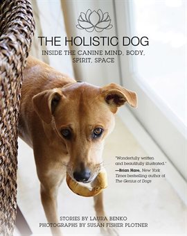 Cover image for The Holistic Dog
