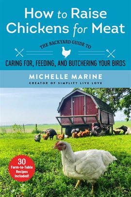 Cover image for How to Raise Chickens for Meat