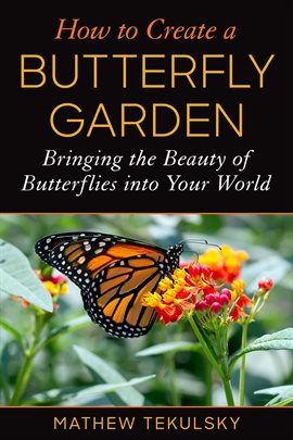 Cover image for How to Create a Butterfly Garden