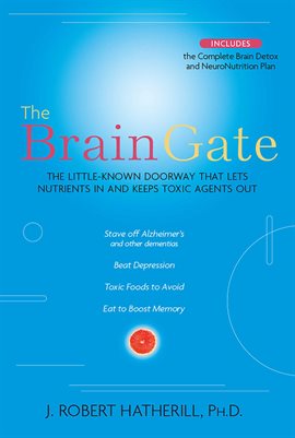 Cover image for The Brain Gate