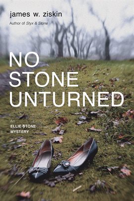 Cover image for No Stone Unturned
