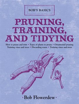 Imagen de portada para Pruning, Training, and Tidying