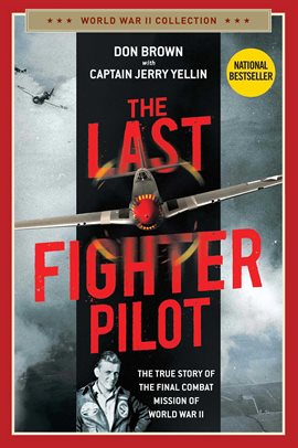 Cover image for The Last Fighter Pilot