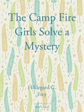 Cover image for The Camp Fire Girls Solve a Mystery